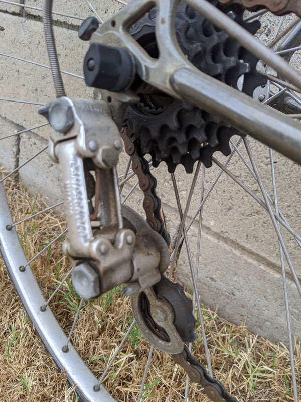 Bike Tune-Ups